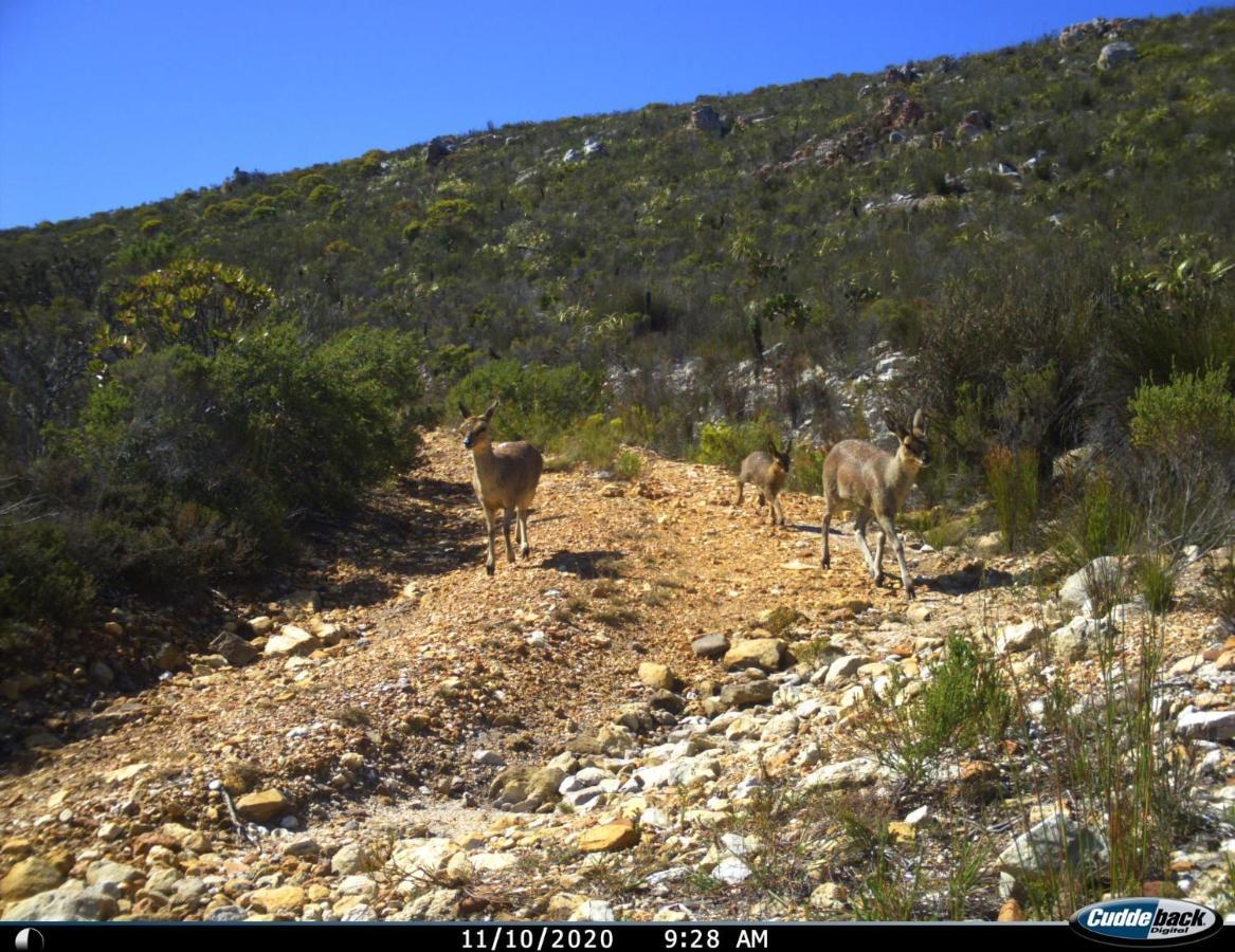 Farm 215 Private Nature Reserve Uilenkraal 外观 照片